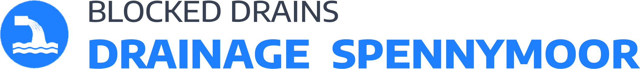 website logo